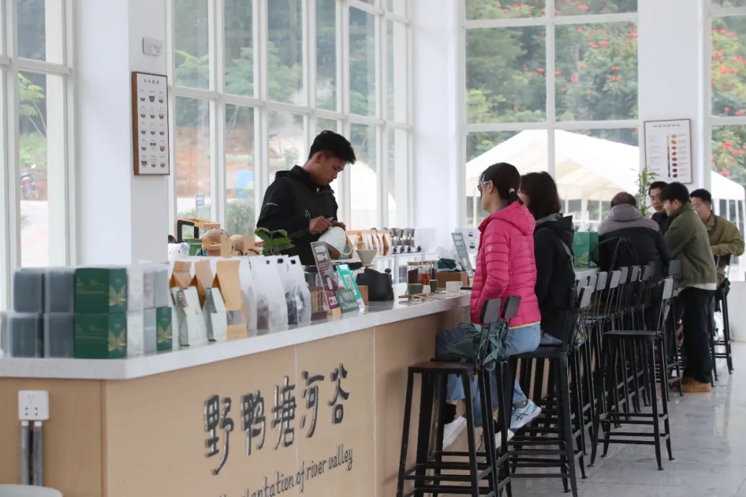 书记:云南咖啡有“三味”pg电子试玩平台云南省委(图2) 书记:云南咖啡有“三味”pg电子试玩平台云南省委(图2)